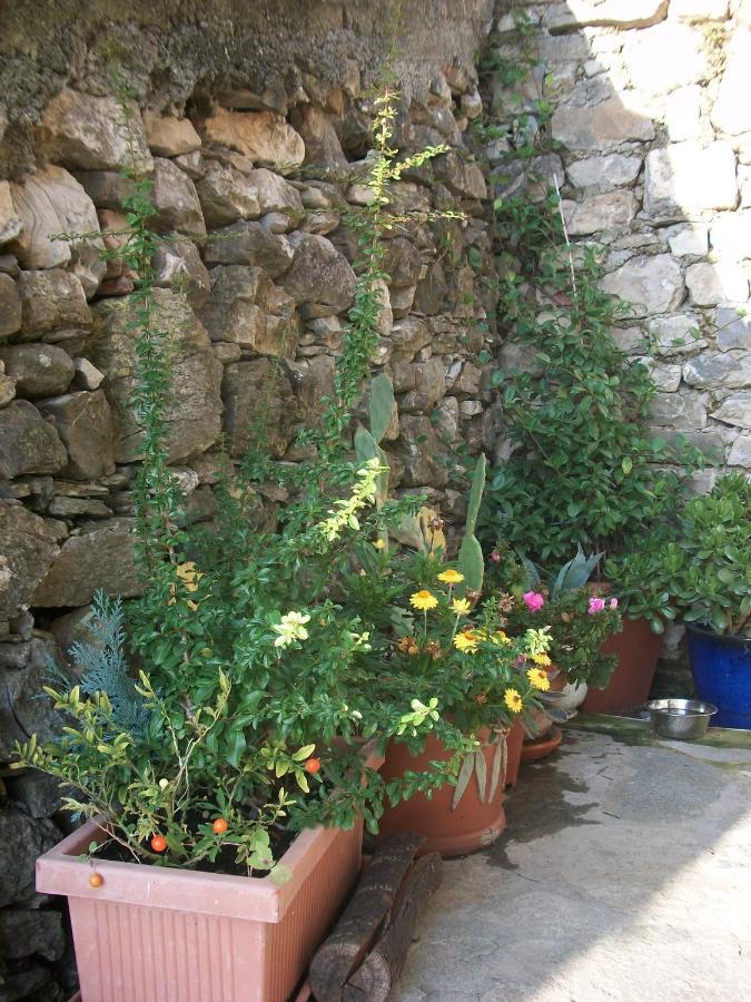 Chezcatherine Sarzana Exterior foto